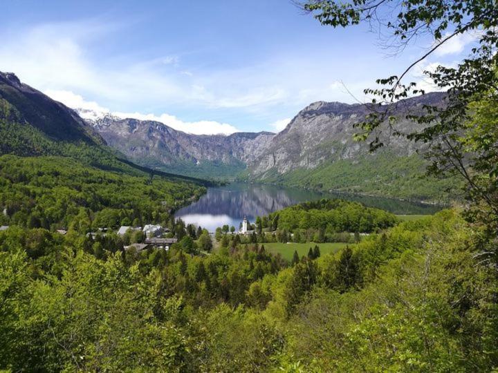 Apartments & Rooms Malej Bohinj Zewnętrze zdjęcie